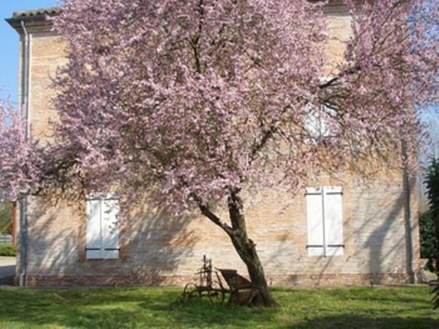 Le Platane Bed & Breakfast Lafrancaise Exterior photo