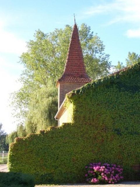 Le Platane Bed & Breakfast Lafrancaise Exterior photo